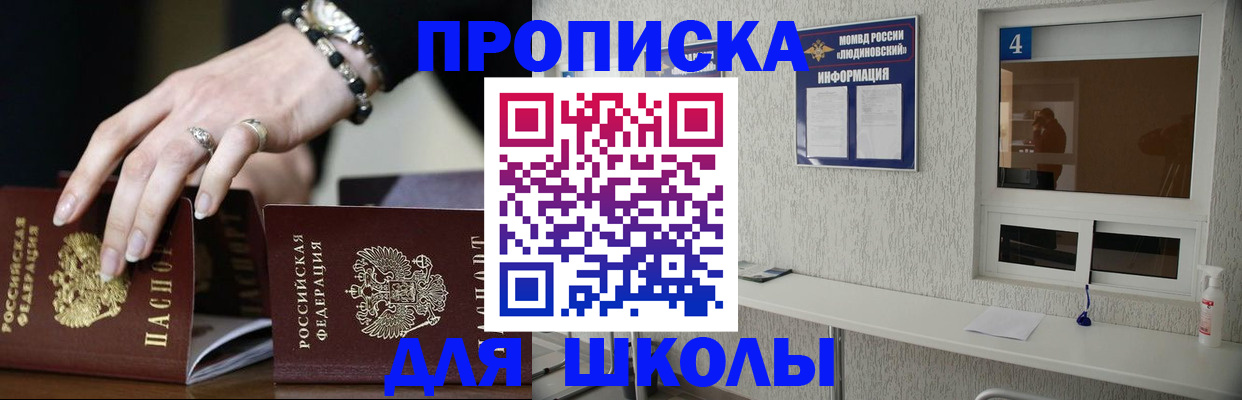 пропишу в квартире в Сольцах